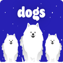 Follow the dog leader APK
