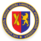 Service Agency icono
