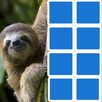 Reveal Images APK