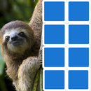 Reveal Images APK