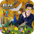 ”Bird Photo Editor