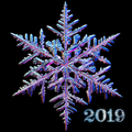 Get Frozen 2019