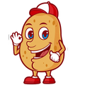MR Potato Pro