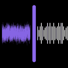 AI Audio Video Noise Reducer icône