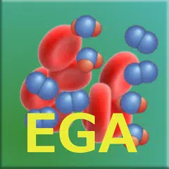 Emogas Fast APK 下載