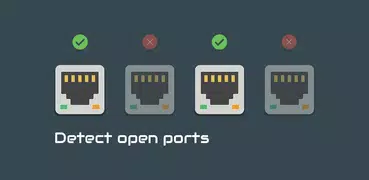 Port Detective
