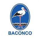 SalesUp BCC APK