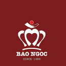 SalesUp Bao Ngoc APK