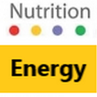 EnergyPredict ícone