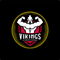 Vikings Fitness Lounge