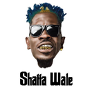Shatta Wale Songs 2020 APK