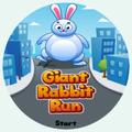 Giant Rabbit Run