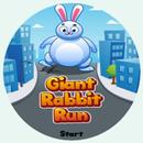 APK Giant Rabbit Run