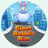 ”Giant Rabbit Run