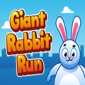 Giant Rabbit Run