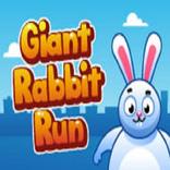 Giant Rabbit Run