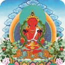 Phật Trường Thọ APK