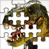 Dinosaur Puzzle Game APK