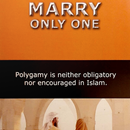 Marry Only One APK