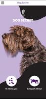 Dog Secret Poster