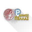 Pella Smart Parking