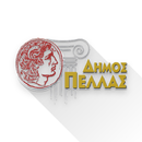 Cityguide Pella APK