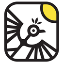 MAZZA fire food APK
