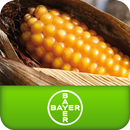 Καλαμπόκι Bayer CropScience APK
