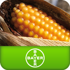 Καλαμπόκι Bayer CropScience icon