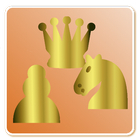 Puzzle Solver ikona