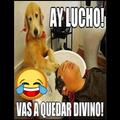 Frases Graciosas con imagenes