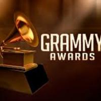 Grammy Awards App 截圖 3