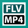 FLV To MP4 Converter-icoon