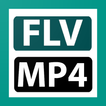 ”FLV To MP4 Converter