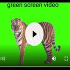 green screen video icône