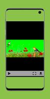 green screen video Ekran Görüntüsü 2
