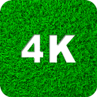 Verts Fonds d'écran 4K icône