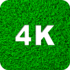 Grüne Hintergrundbilder 4K APK