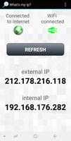 What's my ip? 截图 1