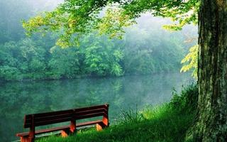 Green Nature HD Wallpaper imagem de tela 2