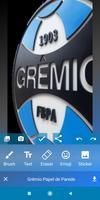 Grêmio Papel de Parede screenshot 3