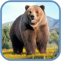 Grizzly HD. Live Wallpaper Icon