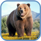 Grizzly HD. Live Wallpaper icône