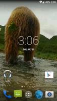 Grizzly HD. Live Wallpaper Affiche