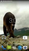 Grizzly HD. Live Wallpaper ảnh chụp màn hình 2