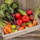 Grow Vegetables icon