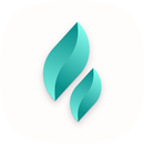 Вектор aplikacja