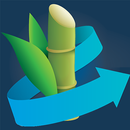 ExpoContainers APK