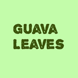 Guava Chat