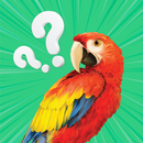 Guess the Bird Quiz: Word Game APK